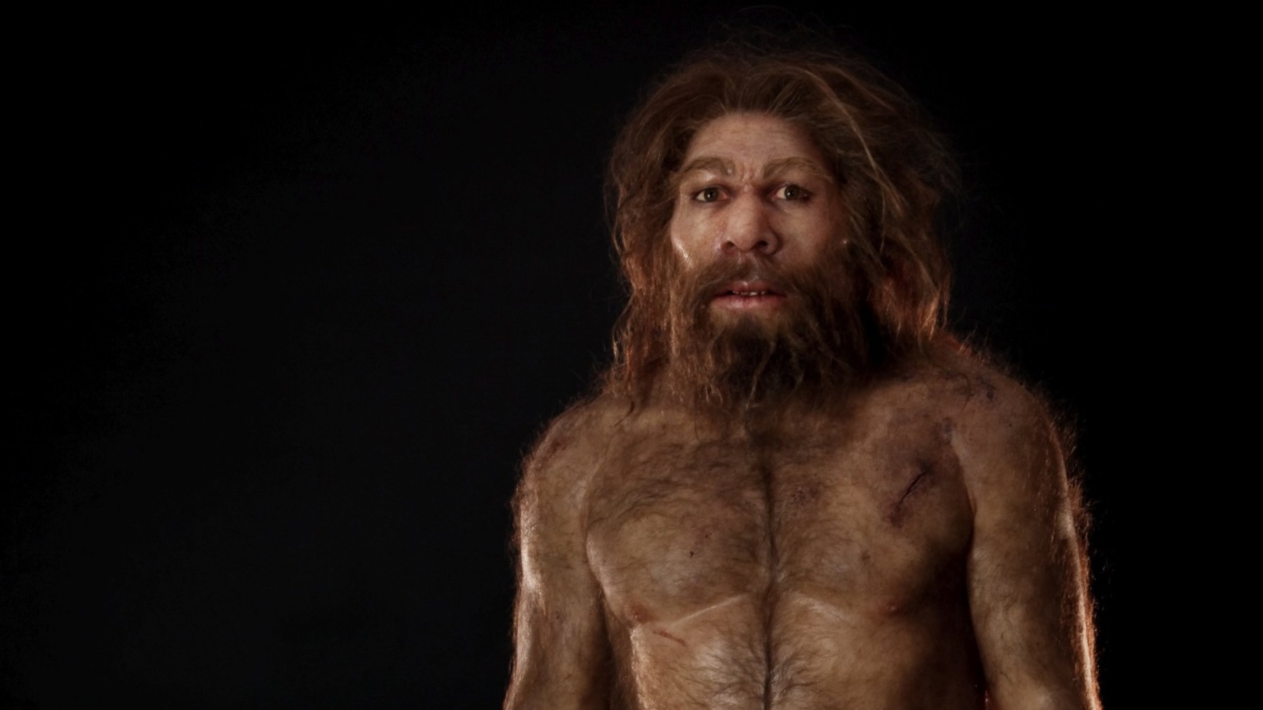 La gran diferencia entre el Homo Sapiens y los neandertales