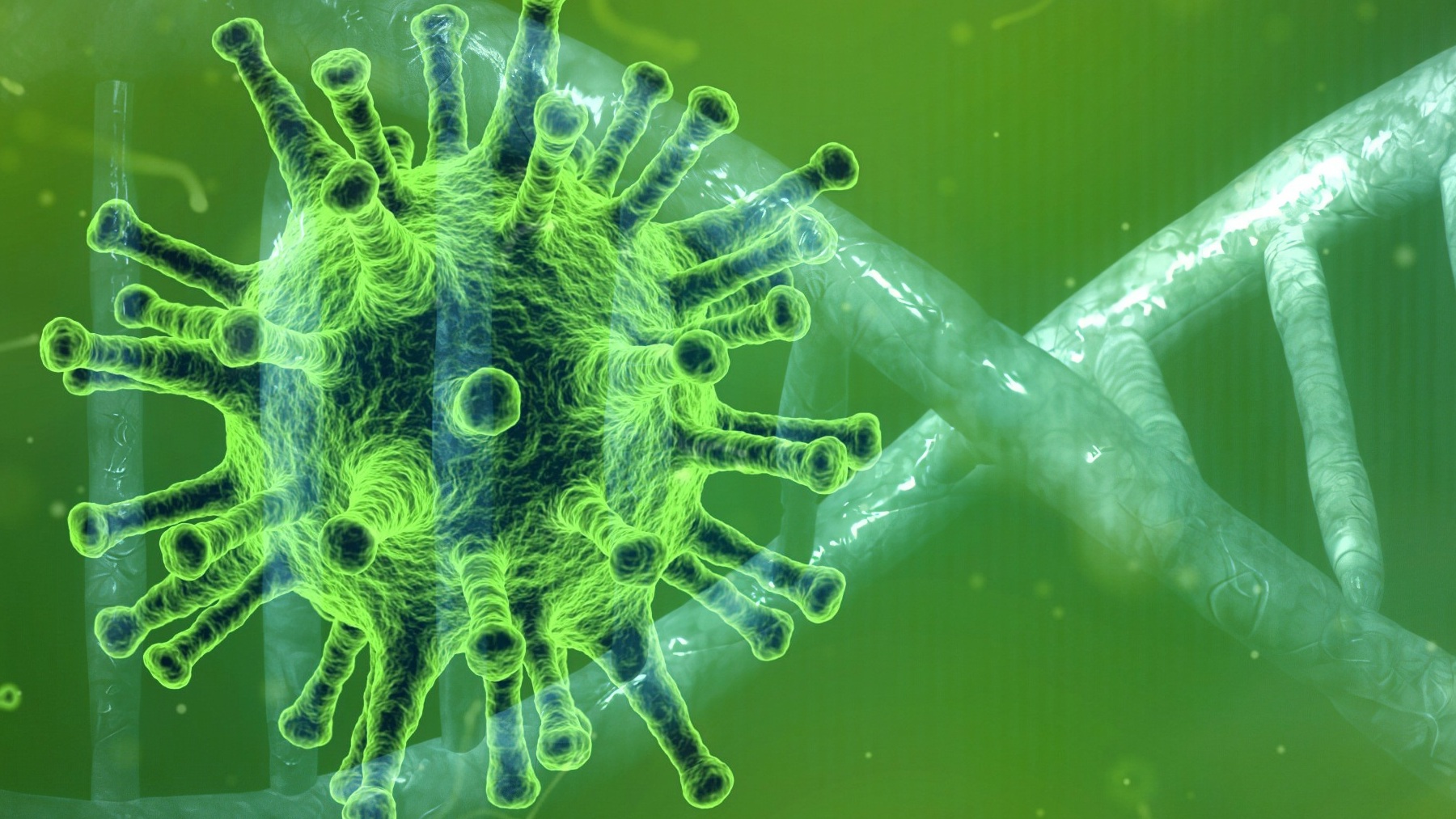 La primera epidemia de coronavirus arrasó el este de Asia hace 25.000 años