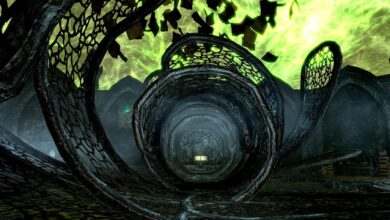 Los jugadores de Skyrim planean el parque temático Perfect Elder Scrolls