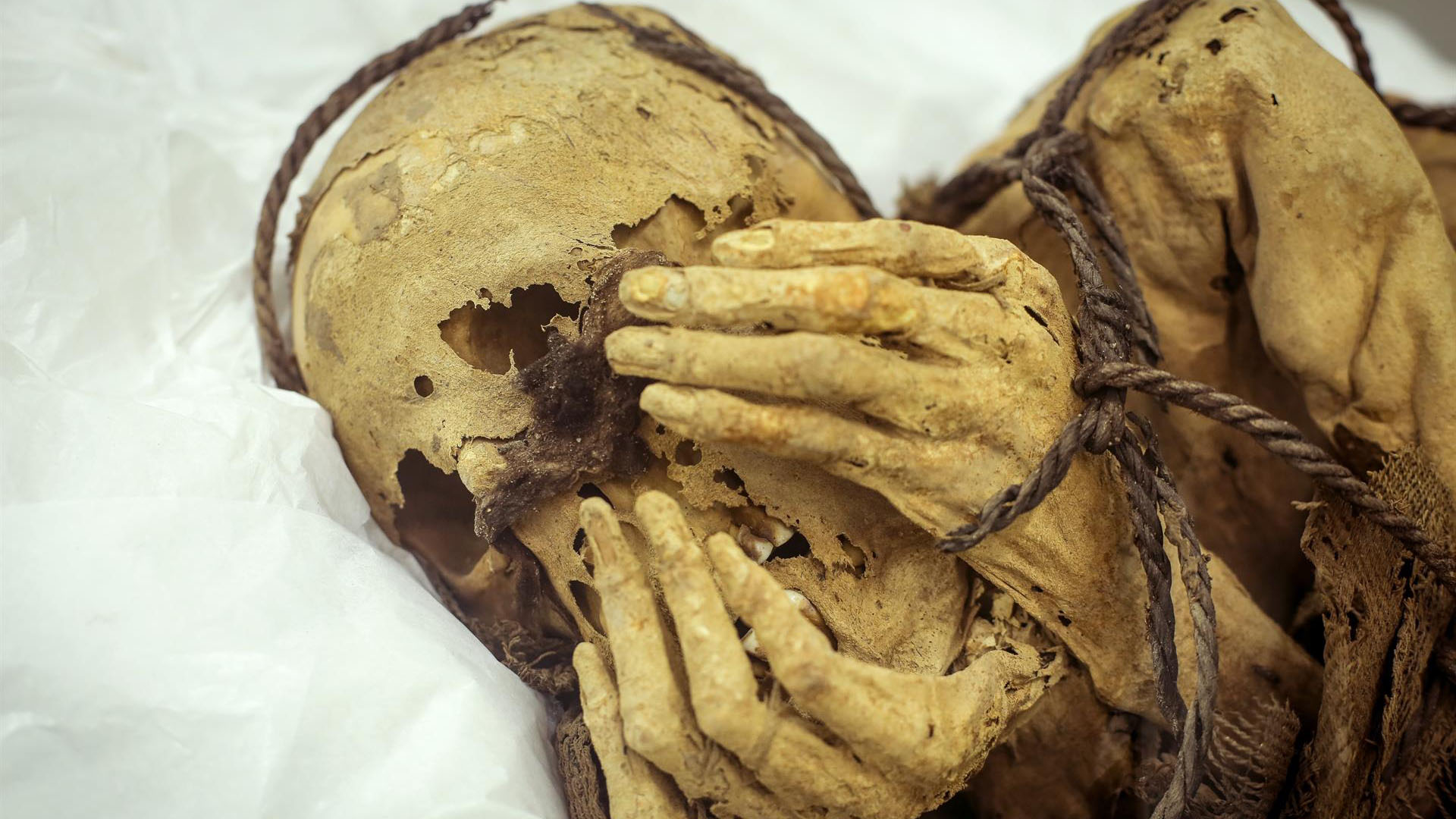 Tiene 1,000 años: presentan momia con su rostro cubierto por las manos