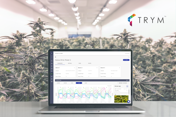 Trym agrega la dirección de cultivos a su plataforma de venta de semillas de cannabis