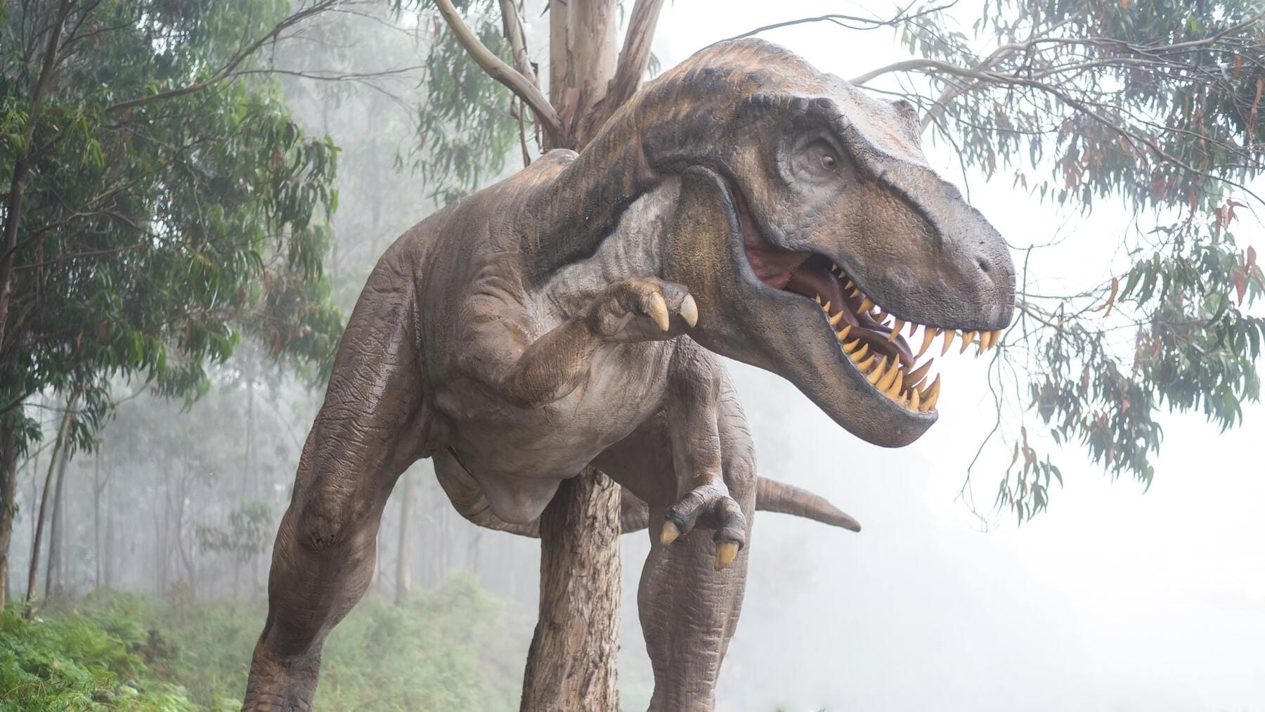 ¿Dónde donde encontraron el primer fósil de dinosaurio?
