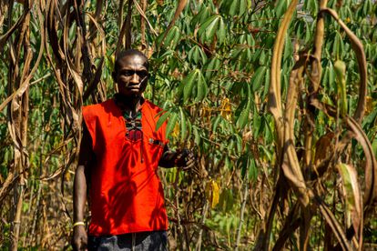 El granjero Janvier Biensiona muestra su tierra dañada por el paso del rebaño en Paoua, en el noroeste de la República Centroafricana, el 2 de diciembre de 2021.
