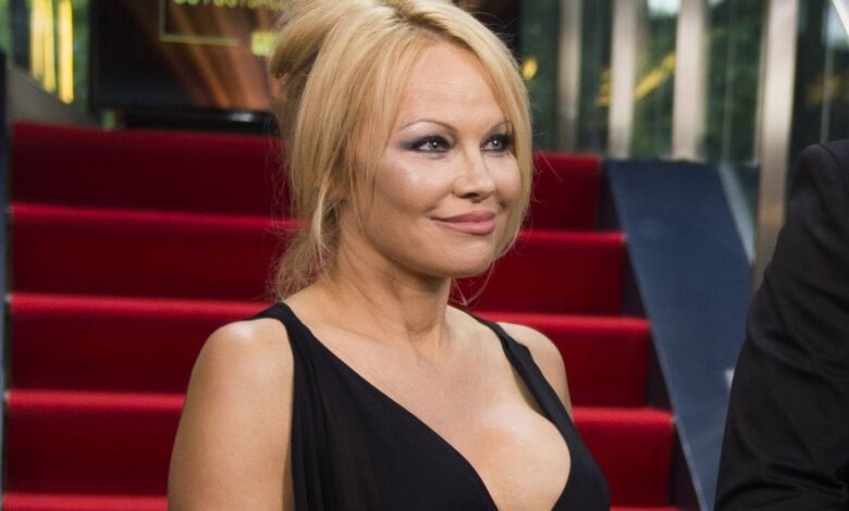 Pamela Anderson Se Divorcia Por Quinta Vez Después De 13 Meses De Matrimonio La Neta Neta 7028