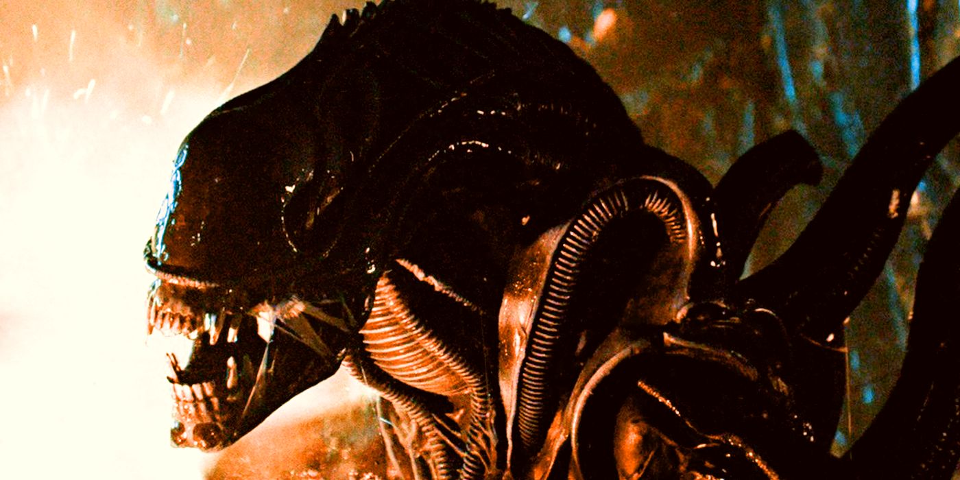 Alien Showrunner actualiza su adaptación de FX TV