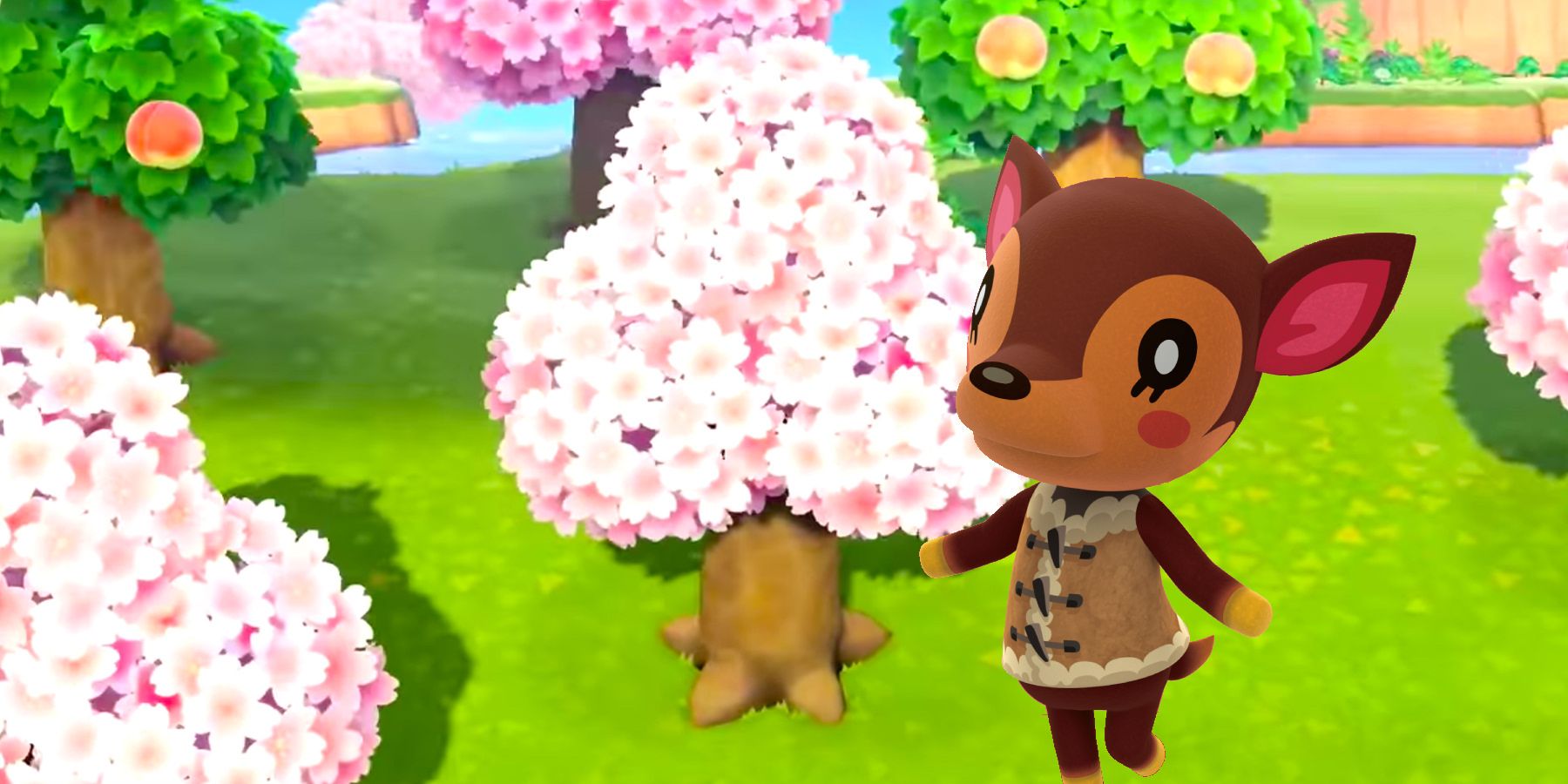 Animal Crossing: Cuando comienza la temporada de los cerezos en flor (2022)
