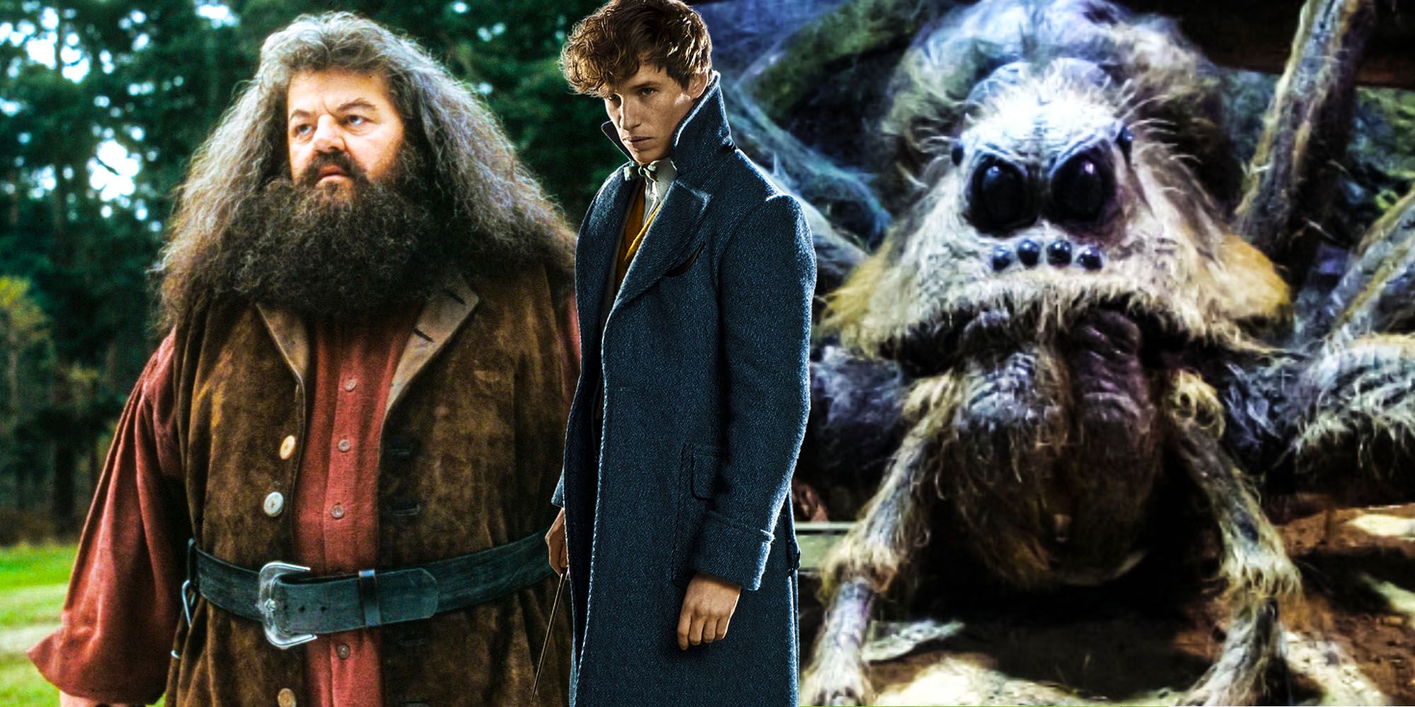 Animales fantásticos explica cómo Hagrid consiguió Aragog - Teoría de Harry Potter explicada