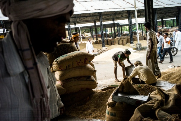 Arya recauda 21 millones de dólares para proporcionar a los agricultores de la India servicios financieros y poscosecha