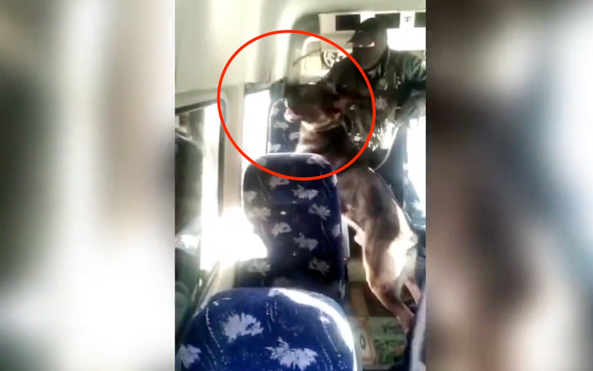 Así detectó perro policía droga en camioneta de la porra de Pumas | Video