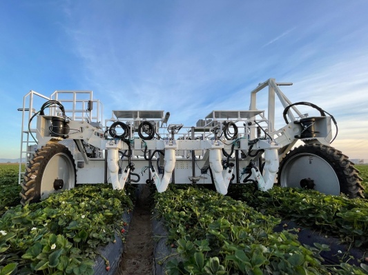 Con $ 8,4 millones recaudados, la startup de robótica de recolección de fresas Traptic comienza el despliegue comercial