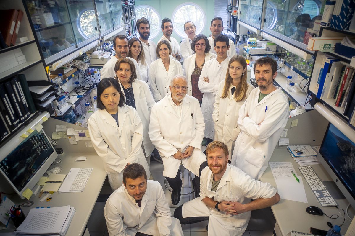 Dentro del laboratorio español que busca la vacuna definitiva para la covid