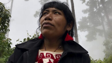 Descartan que restos hallados en la Mixteca sean de la activista Irma Galindo
