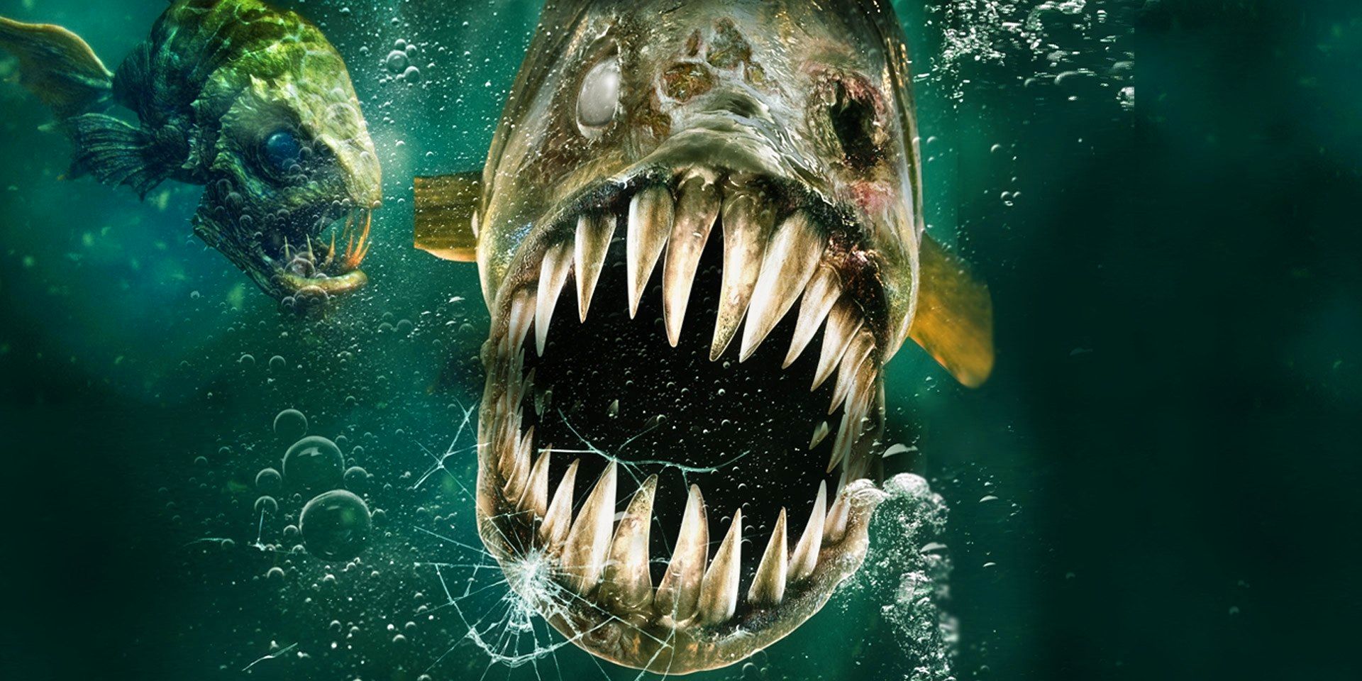 Dónde ver el acuario de los muertos en línea (Netflix, Hulu, Prime)