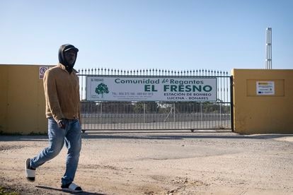 Un inmigrante pasa frente a la balsa de la comunidad de regantes de El Fresno, en Lucena del Puerto (Huelva). 
