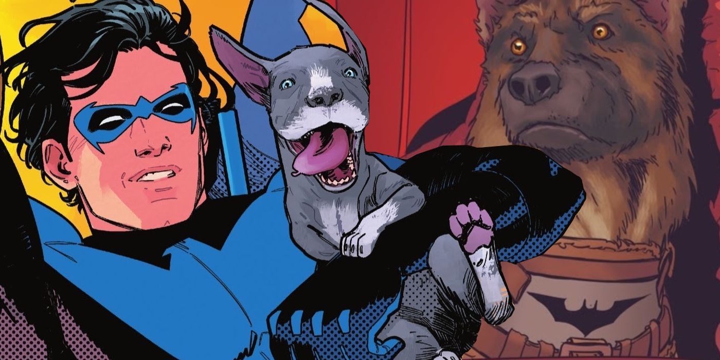 El cachorro de Nightwing muestra oficialmente al perro de Batman cómo se hace