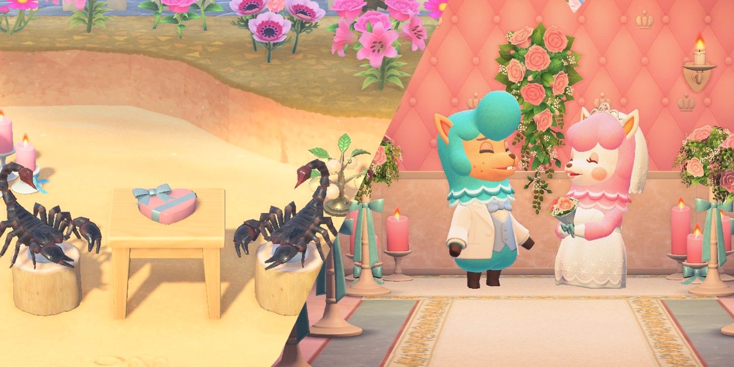 El jugador de Animal Crossing pone a dos escorpiones en una cita romántica