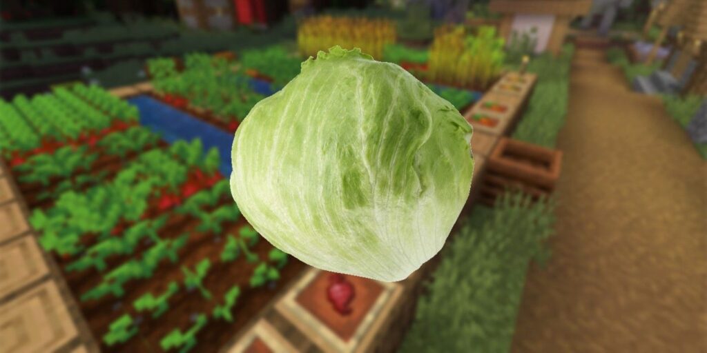 El jugador de Minecraft usa cabezas de enredadera en la granja como cabezas de lechuga