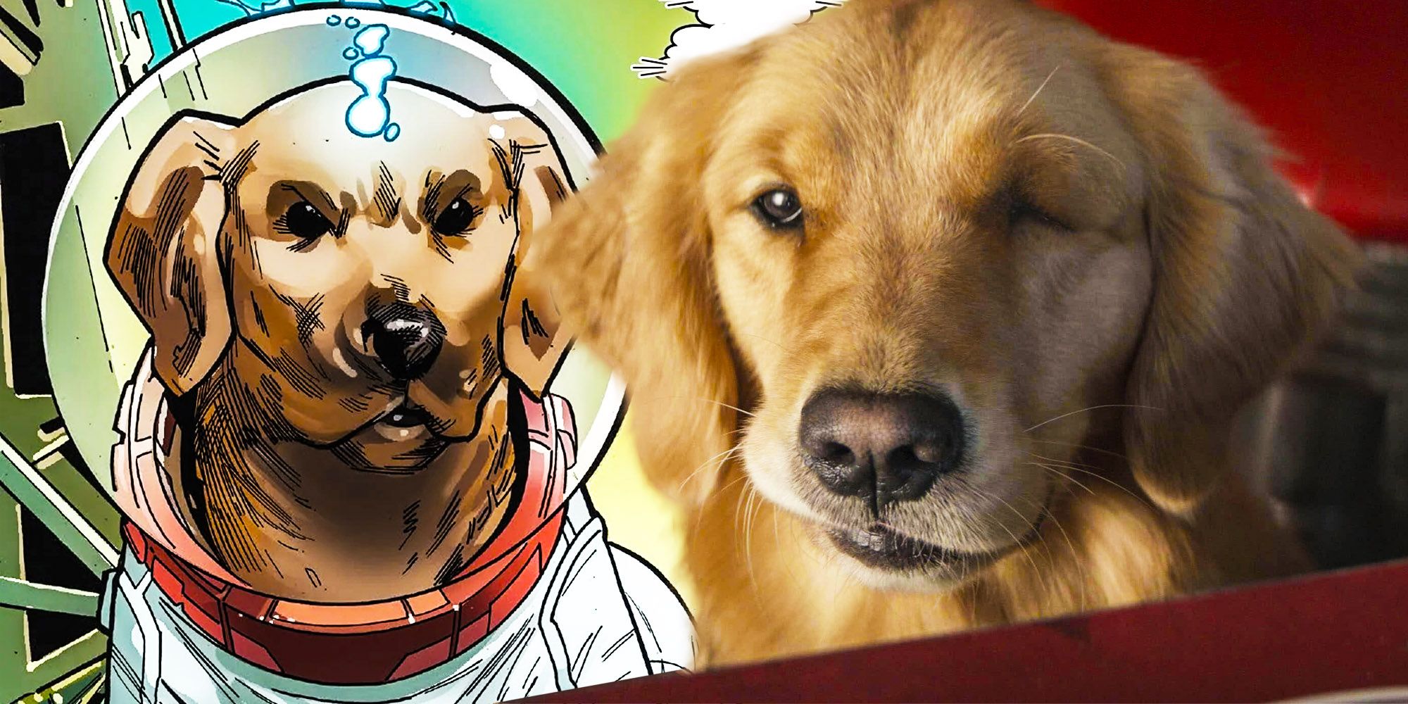 El perro pizza de Hawkeye tiene una identidad secreta: explicación de la teoría