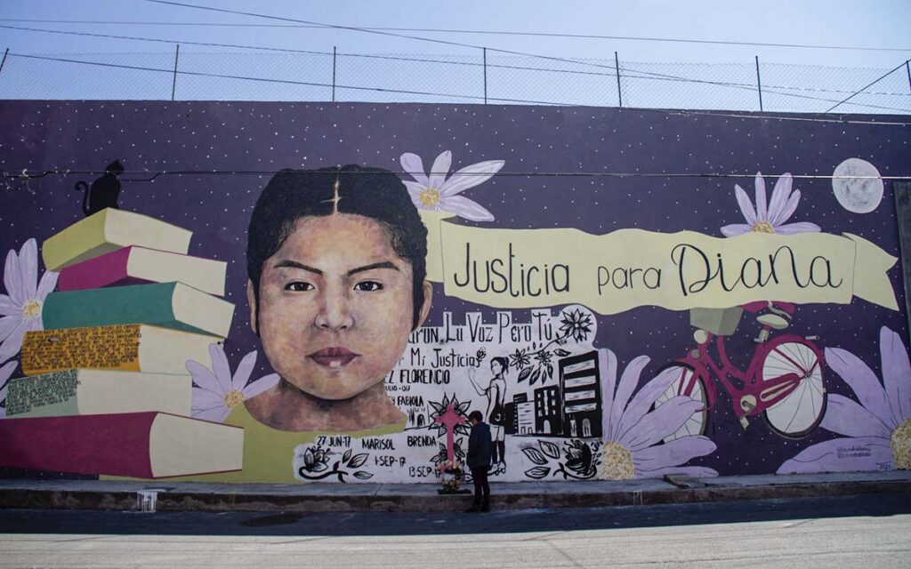 Estado de México: Condenan a 93 años de cárcel al feminicida de Diana Velázquez