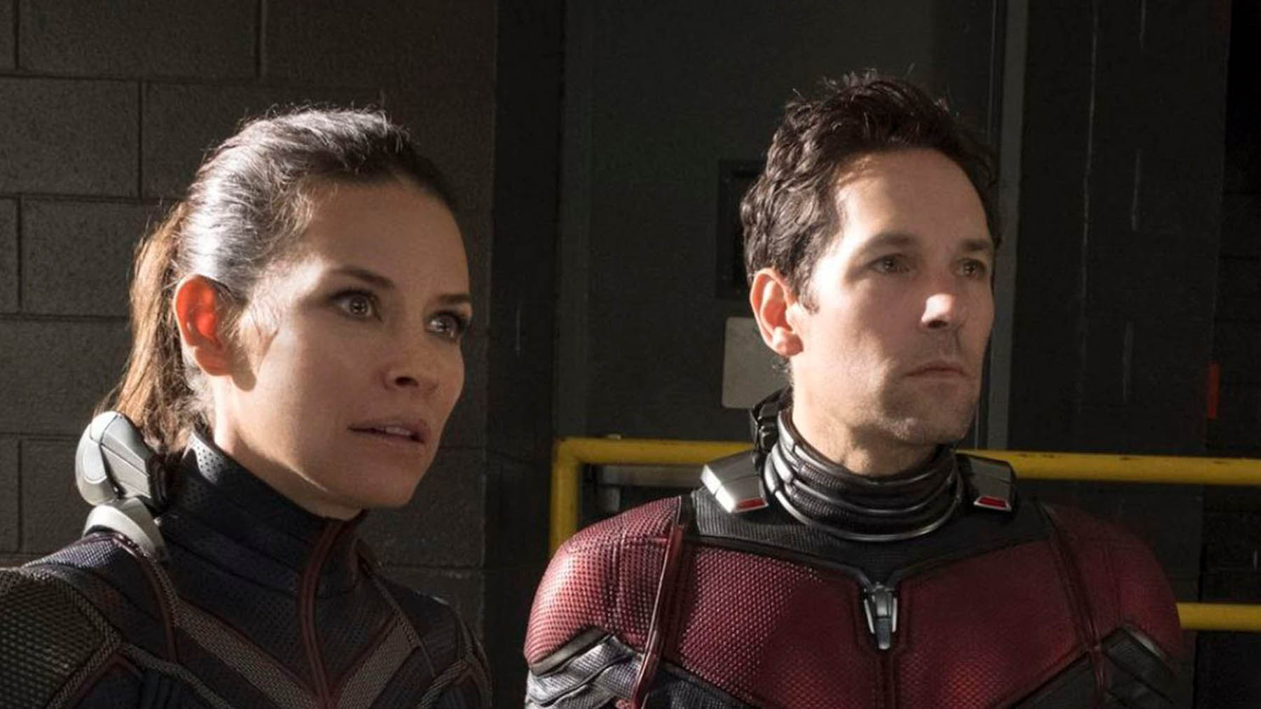 Evangeline Lilly habla del duro rodaje de ‘Ant-Man 3’: «Tengo la esperanza de que sea la mejor de las tres»