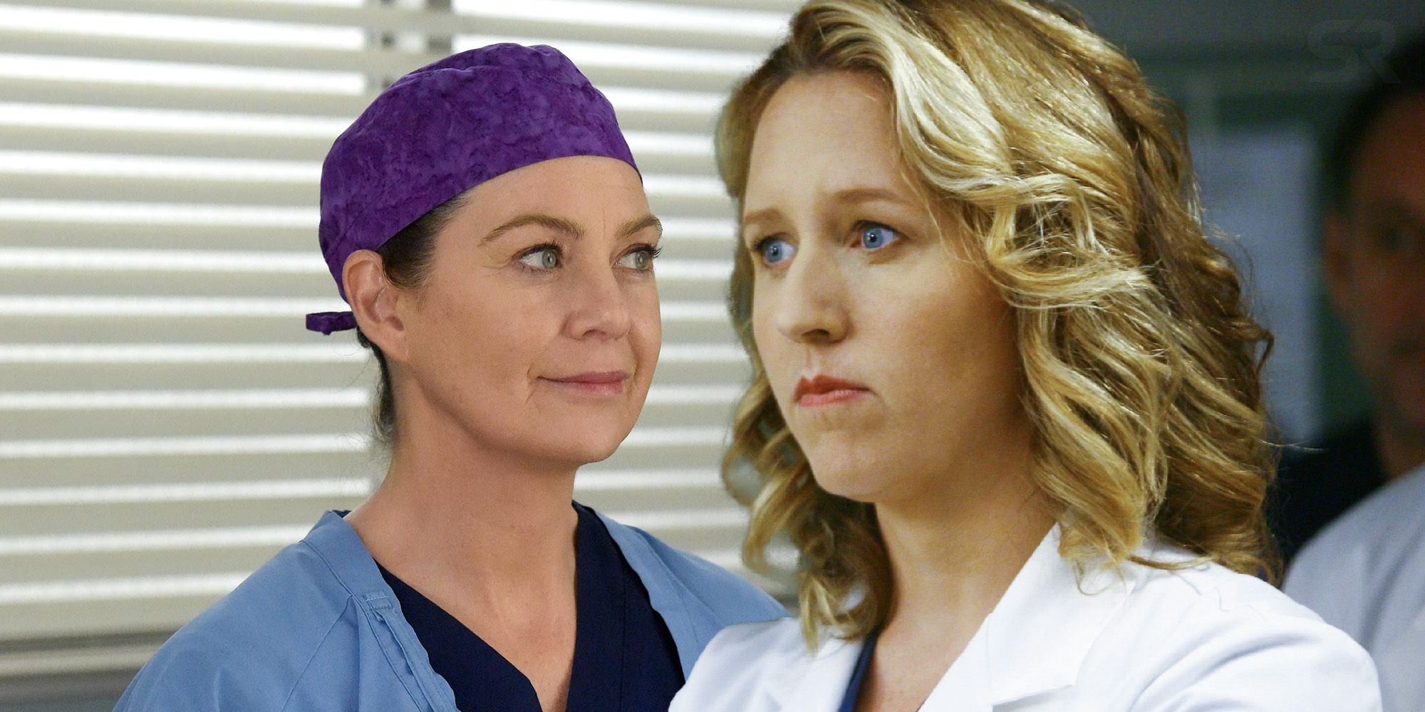 Grey's Anatomy: por qué Erica Hahn de Brooke Smith dejó el programa en la temporada 5