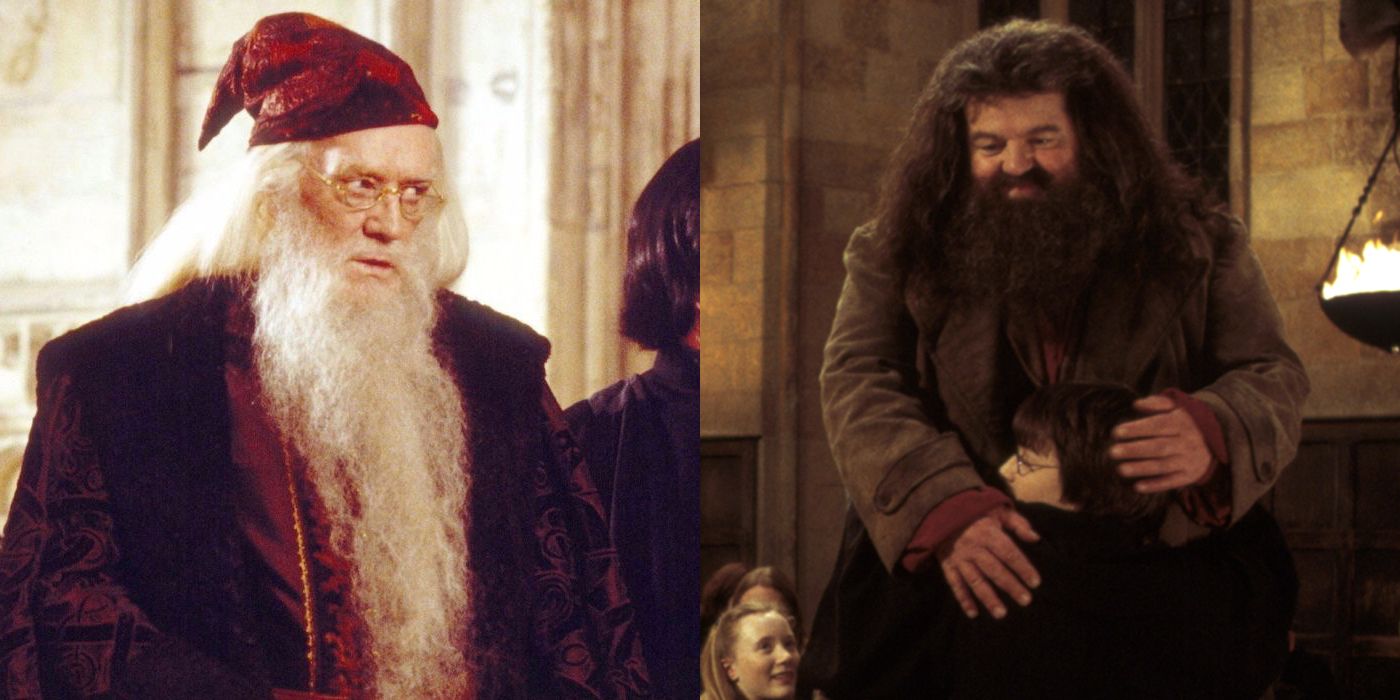 Harry Potter: las mejores decisiones de Dumbledore en la cámara de los secretos