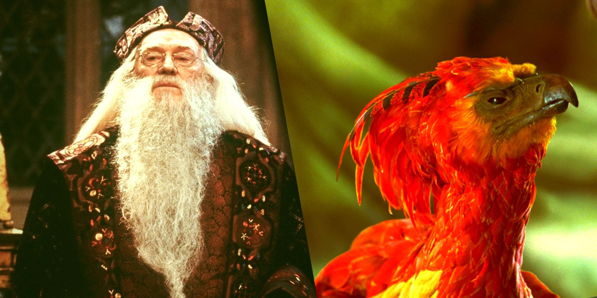 La reunión de Harry Potter revela la historia perfecta del actor Dumbledore