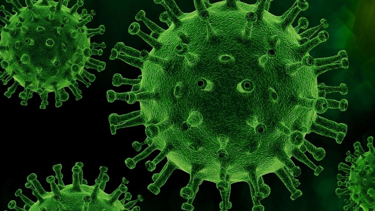 Las 3 teorías que baraja la OMS para explicar el origen del coronavirus