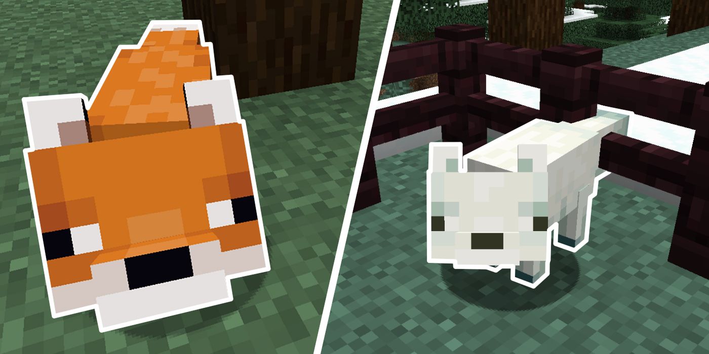 Minecraft: Cómo criar zorros