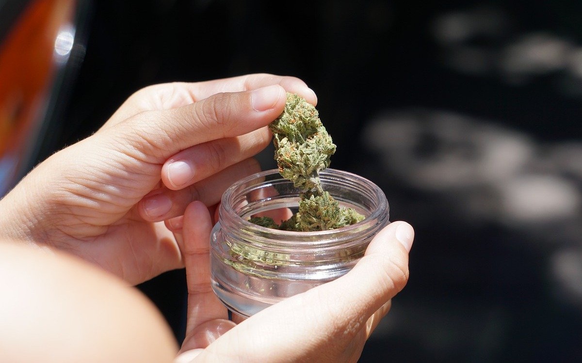 Presidente de Costa Rica veta legalización al uso medicinal de la marihuana
