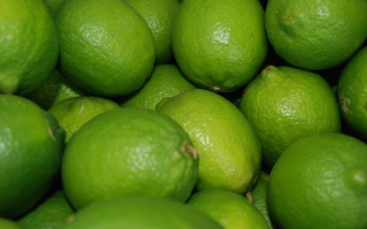 Producción del limón va en ascenso; se revisarán márgenes de ganancia: Agricultura