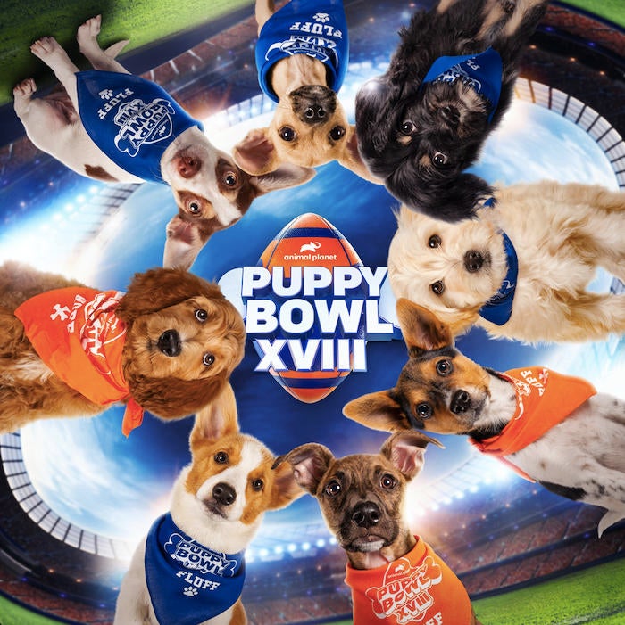 puppy-bowl-2022-detalles-lineup-dogs-travel-channel-discovery.jpg