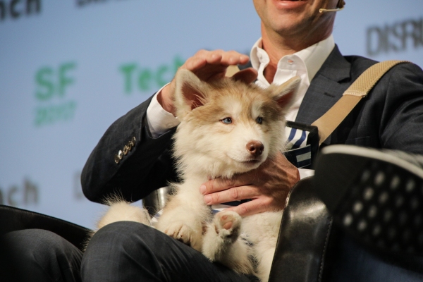 Rover, una startup que cuida perros, acaba de recaudar 155 millones de dólares