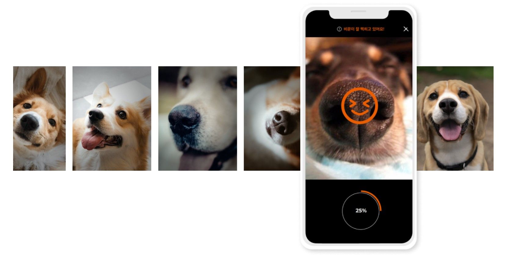Startup respaldada por Samsung ofrece una aplicación de autenticación biométrica para perros