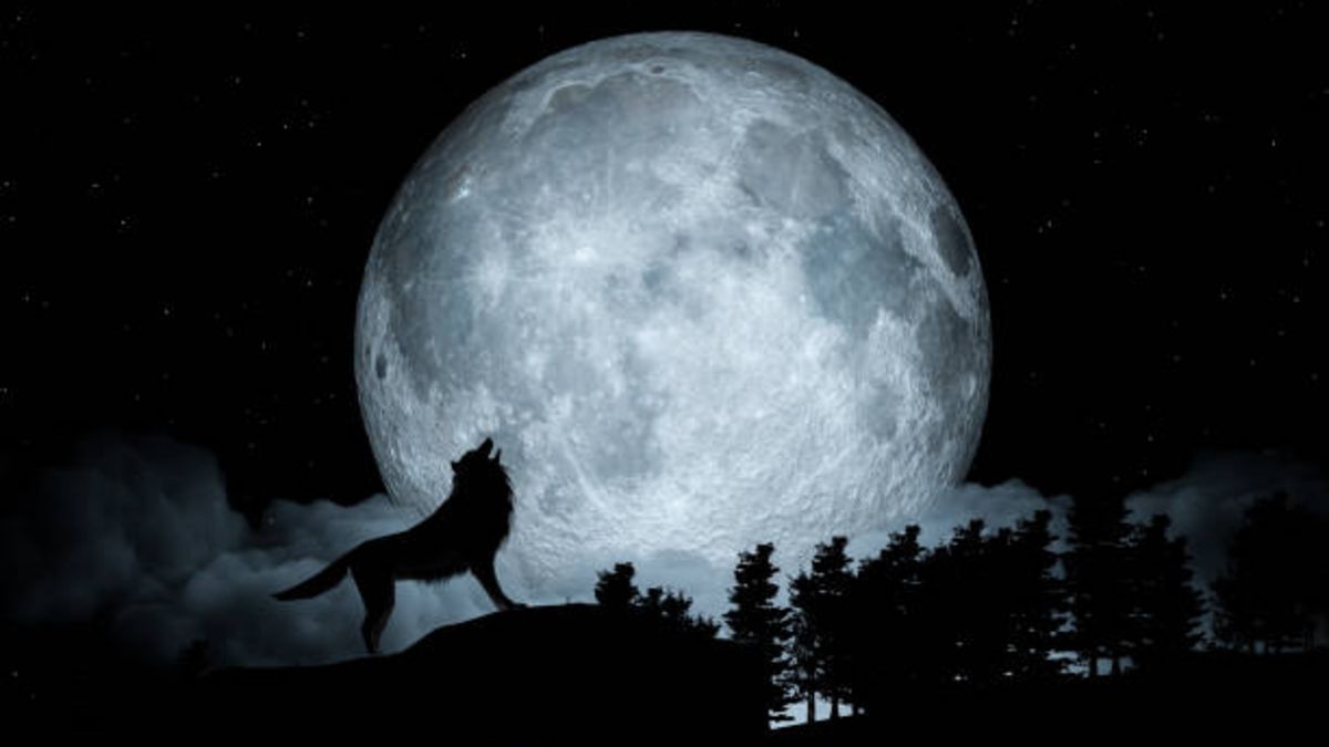 horario y cómo ver la luna llena de hoy 28 de enero