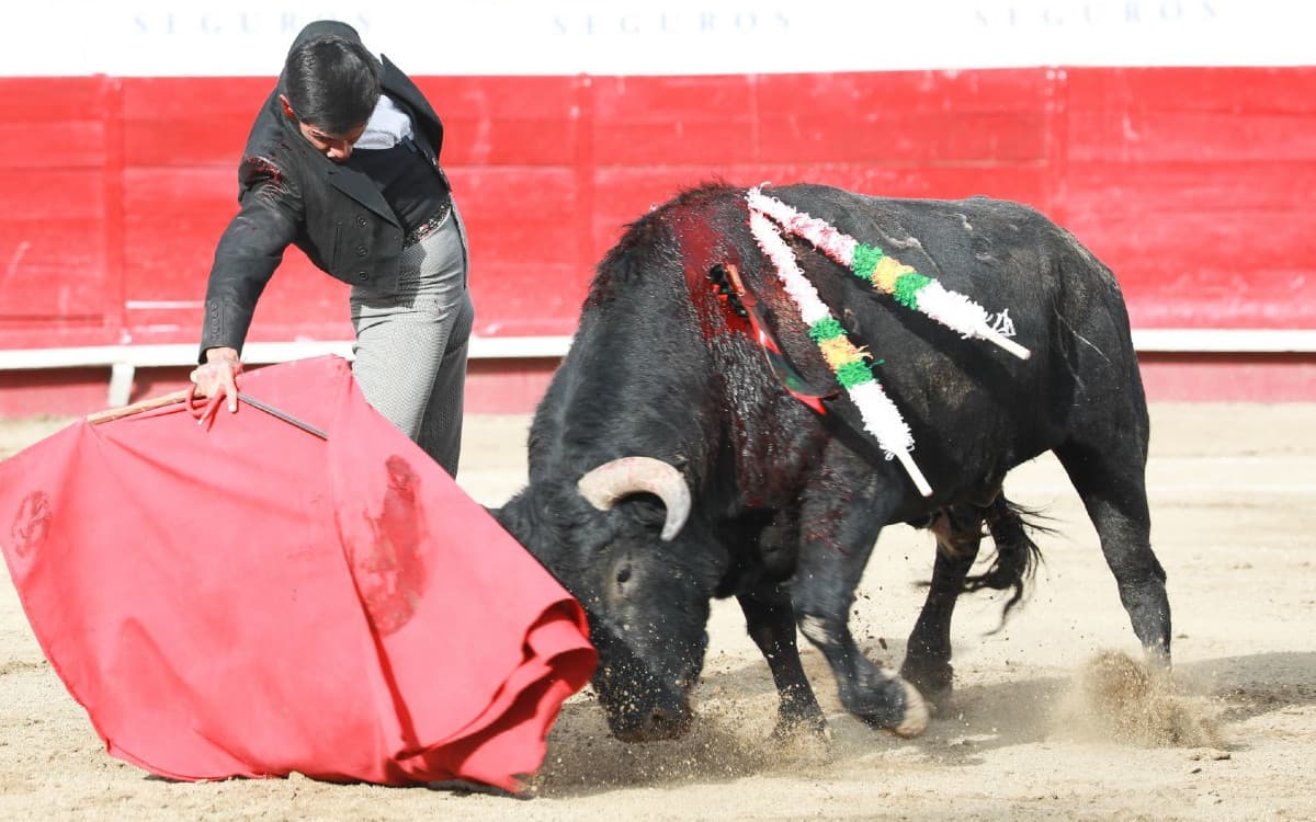 Juez suspende por tiempo indefinido las corridas de toros en la CDMX