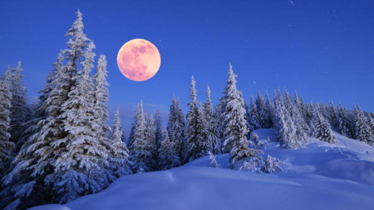 ¿Cómo y cuándo ver la Luna llena que despide febrero?