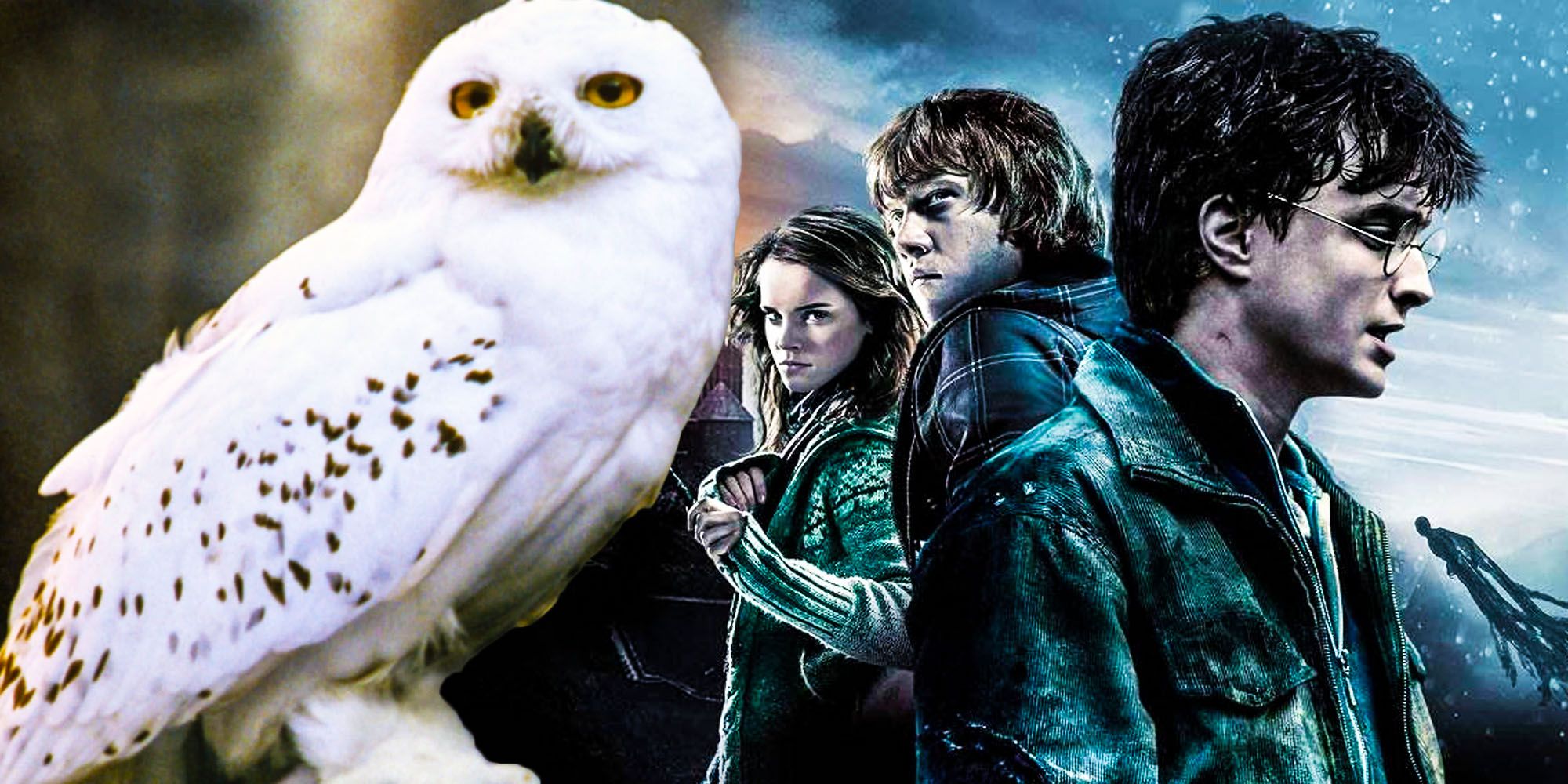 ¿Por qué mataron a Hedwig en Harry Potter y las reliquias de la muerte?