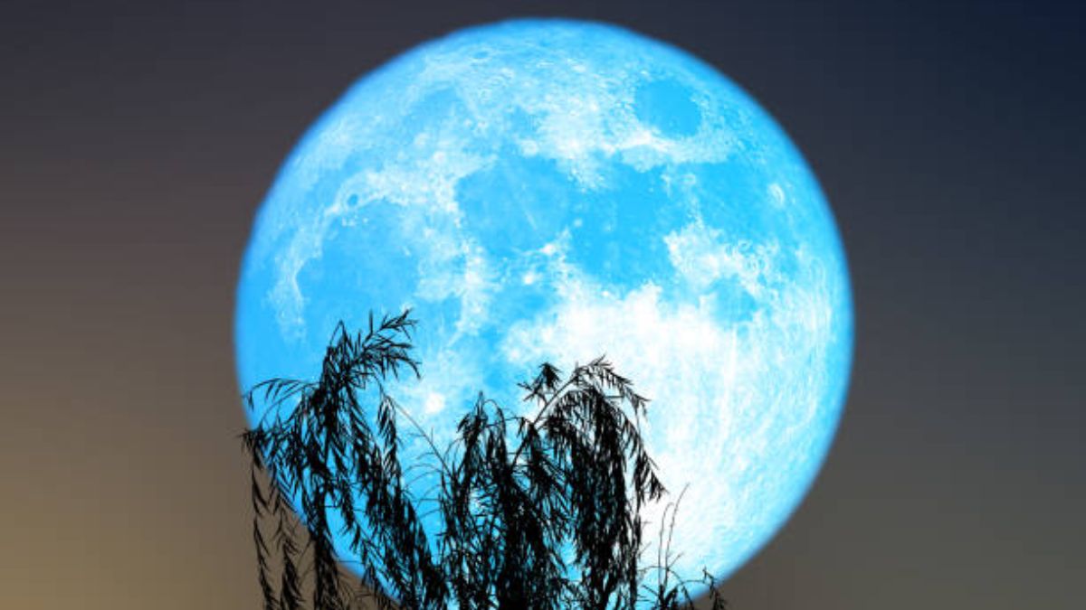 ¿Qué es la Luna de Gusano y cómo podemos verla?