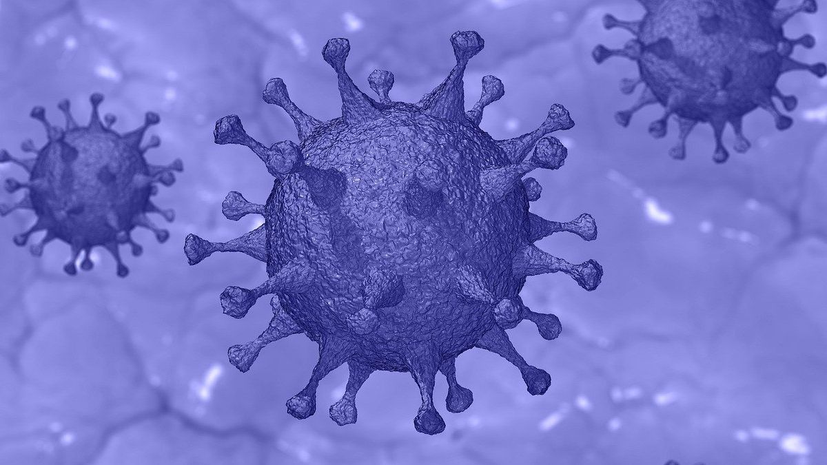 ¿Qué es la inmunidad de rebaño? La clave para que se acabe el coronavirus