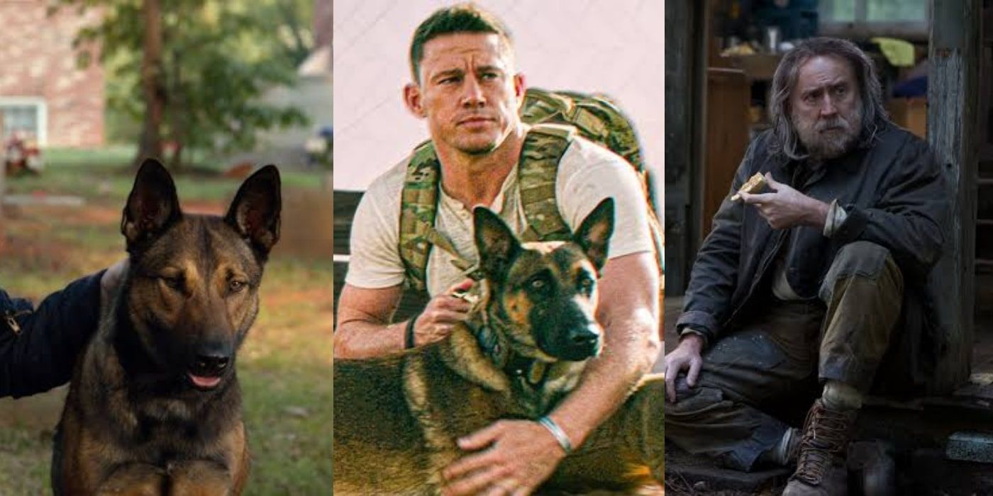 10 mejores películas parecidas a Dog