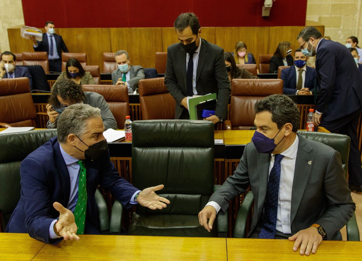 El Parlamento andaluz da luz verde al proyecto para legalizar regadíos en Doñana con la abstención del PSOE
