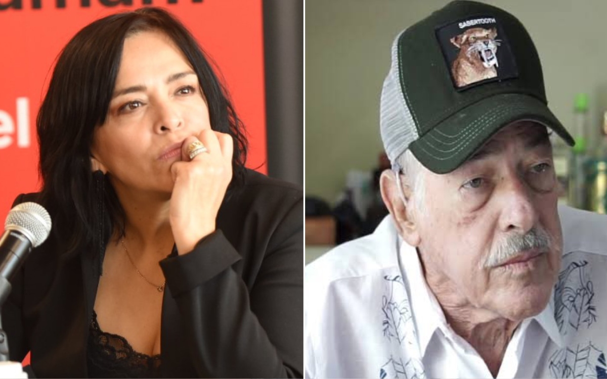 Anabel Hernández demanda a Andrés García por amenazas