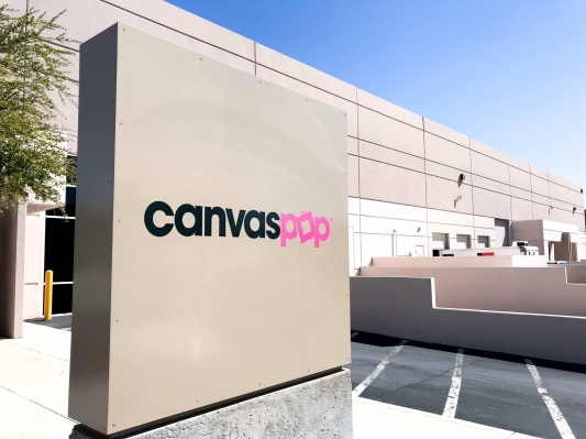 CanvasPop dips into first VC, taking $3.3M for growth and product dev