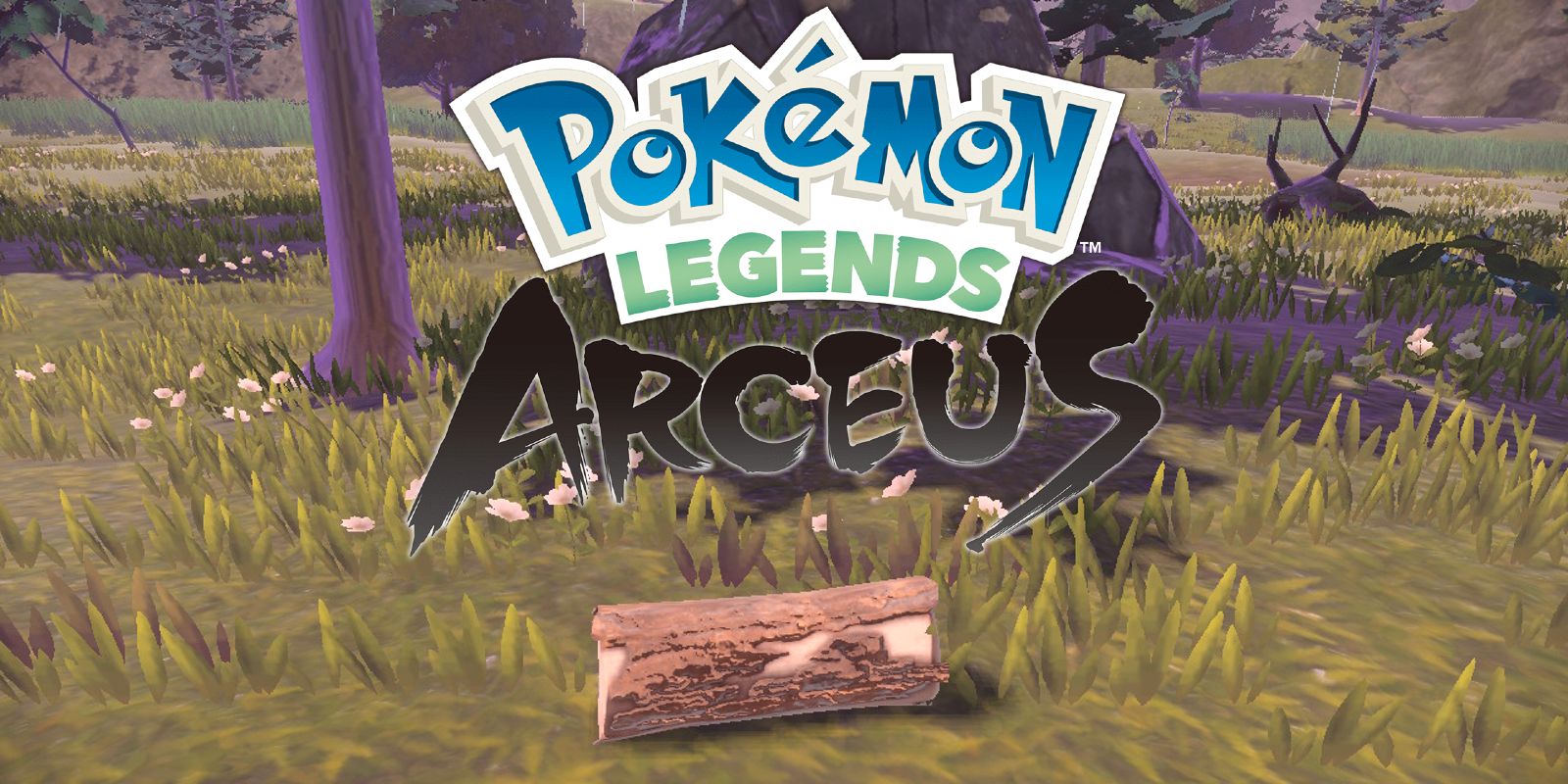 Cómo conseguir madera en Pokémon Legends: Arceus
