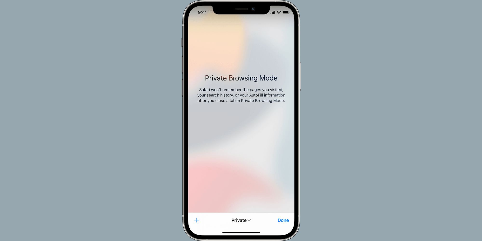 Cómo habilitar la navegación privada en Safari en iOS 15