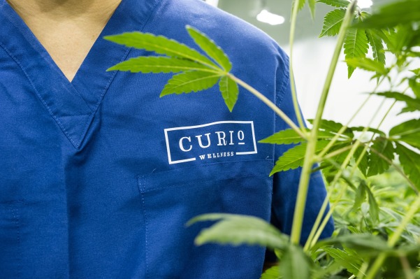 Curio Wellness lanza un fondo de $ 30 millones para ayudar a las mujeres y las minorías a poseer un dispensario de cannabis