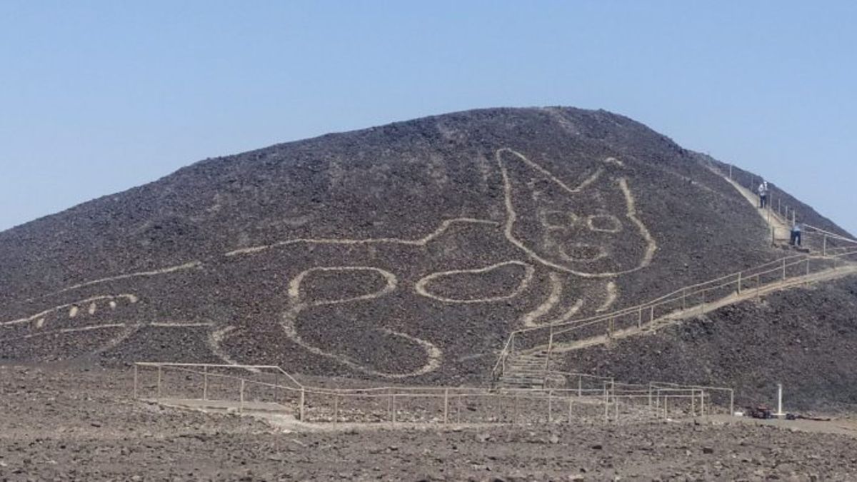 Descubierto el geoglifo de un gato de 37 metros en el desierto de Nazca