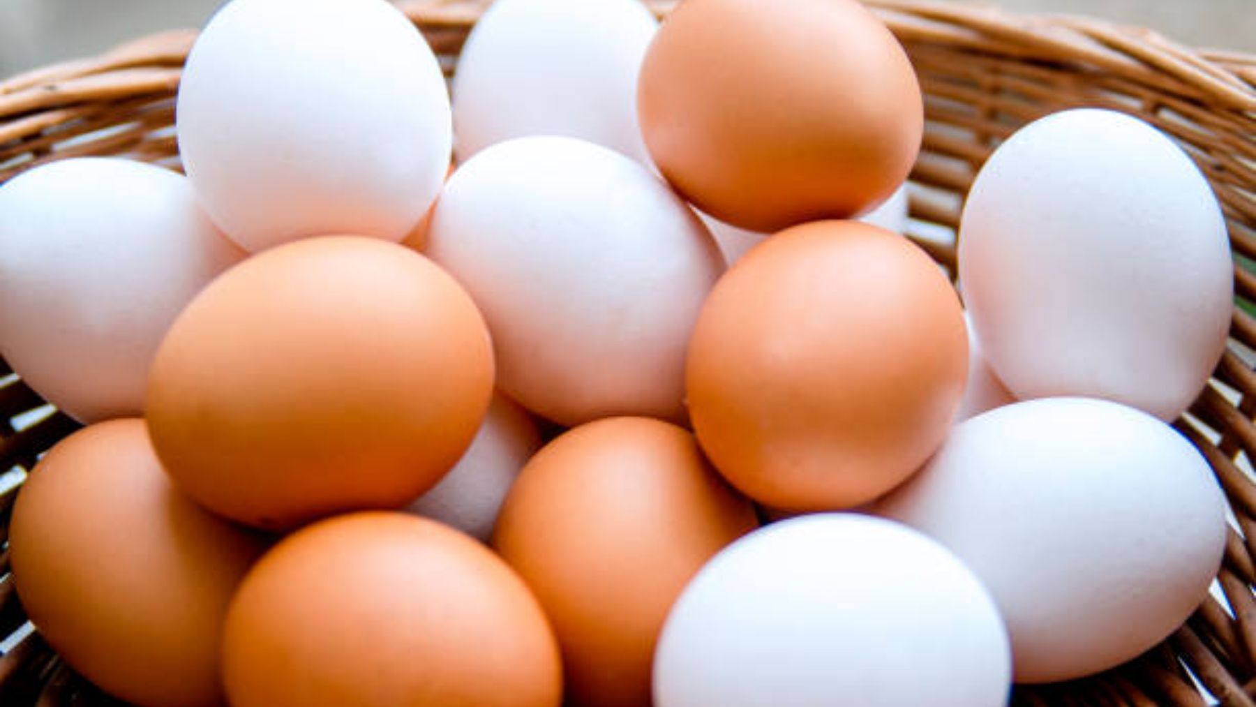 En qué se diferencian los huevos blancos y los marrones