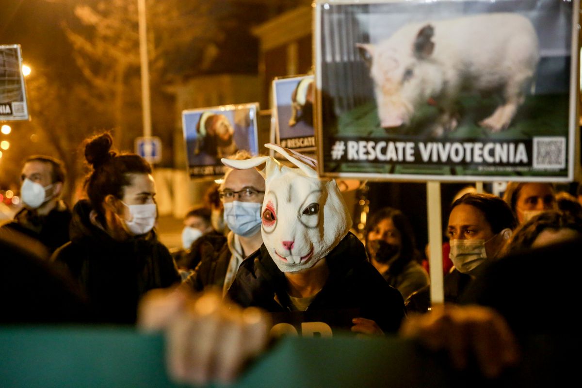 La Guardia Civil halla tres indicios de delito grave en Vivotecnia, investigada por maltrato animal